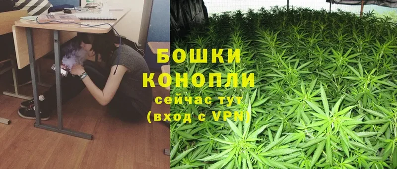 Конопля THC 21%  сколько стоит  Зея 